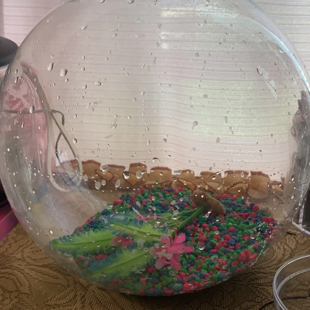 This tank was too big for my one fish